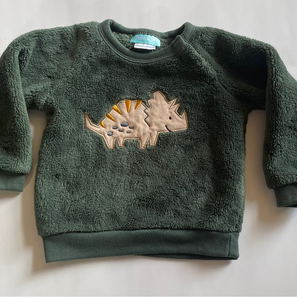 Kids Pekkle Green Dinosaur Sweatshirt Size 18 months VGUC